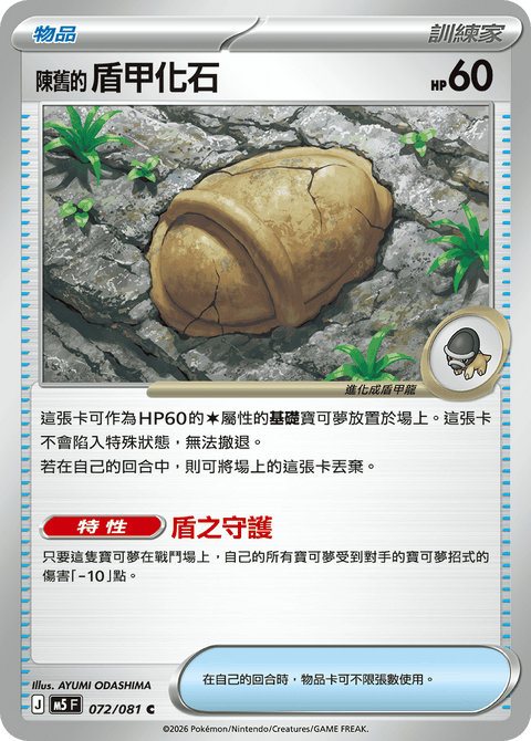 M5 072/081 陳舊的盾甲化石