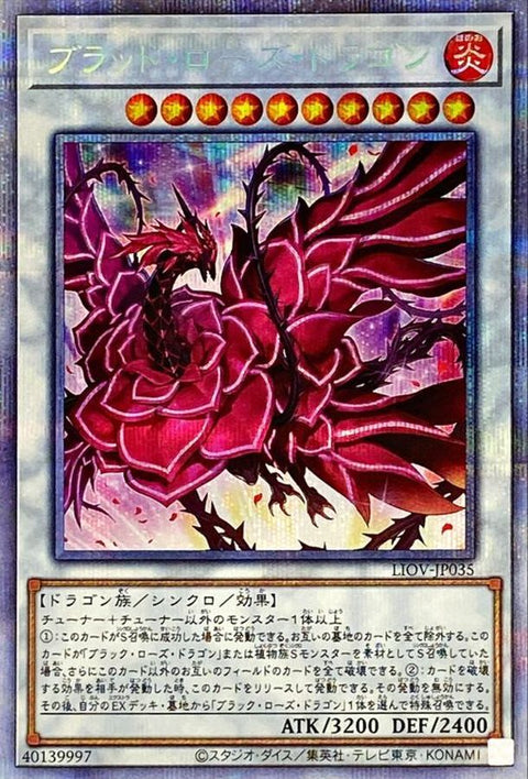 LIOV-JP035 (PSER)紅蓮薔薇龍