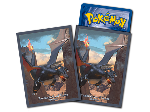 寶可夢造型卡套 9315201