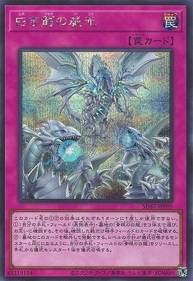 #卡牌遊戲, #卡牌, #遊戲王, #遊戲王卡, #遊戲王卡牌, #日文卡, #日版卡, #日版遊戲王卡, #YuGiOh日文, #Pokemon卡, #神奇寶貝卡, #寶可夢卡, #寶可夢卡牌, #海賊王卡牌, #數碼暴龍卡牌, #高達卡牌, #柯南卡牌, #龍珠卡牌, #碧藍航線卡牌, #符文戰爭卡牌, #魔法風雲會, #MTG卡, #桌遊, #動漫周邊, #動漫商品, #模型, #ActionFigure, #手辦, #公仔, #收藏品, #珍藏卡, #限量卡, #閃卡, #亮面卡, #金屬卡, #抽卡盒, #卡套, #卡冊, #卡盒, #保護套, #桌遊配件, #比賽卡牌, #集換式對戰卡牌, #比賽活動, #玩家社群, #玩家俱樂部, #遊戲店, #香港遊戲店, #HK遊戲, #香港卡牌, #香港桌遊, #卡牌教學, #遊戲教學, #策略遊戲, #遊戲配件, #收藏卡牌, #卡牌批發, #卡牌零售, #動漫卡, #動漫卡牌, #TCG產品, #日本卡牌, #美版卡牌, #卡牌活動, #實體店, #網上商店, #網店, #玩家聚會, #卡牌交流, #交換卡牌, #卡牌市場, #線上比賽, #實體比賽,