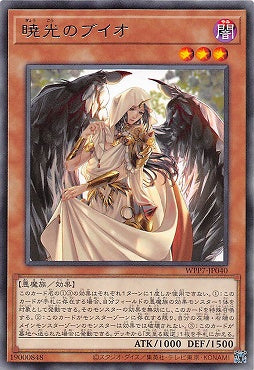 WPP7-JP040  (R)曉光之布依歐