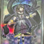 遊戲王卡套- ranking Duel (AE) -閉鎖天月 南娜 *20