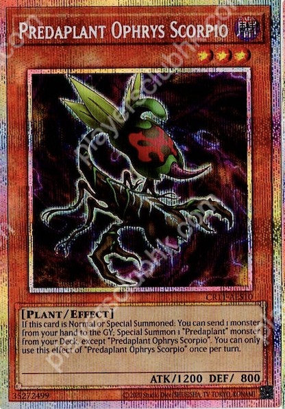 CR11-AES10 (PSER)Predaplant Ophrys Scorpio(捕食植物 蜂蘭蠍)