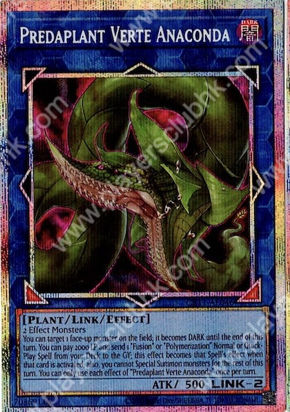 CR11-AE046 (PSER)Predaplant Verte Anaconda(捕食植物 佛德角蟒蛇)