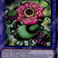 CR11-AE043 (SR)Predaplant Chimerafflesia(捕食植物 奇美拉大王花)
