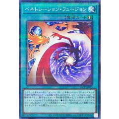 26PP-JP015  （NPR）穿刺融合