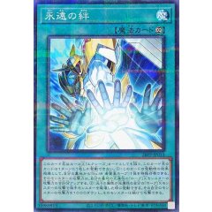 26PP-JP013  （NPR）永遠之絆