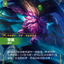 SFD TC 058a/221 鄂爾