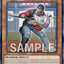 BPRO-AE102  Steel-stringed Sacrifice