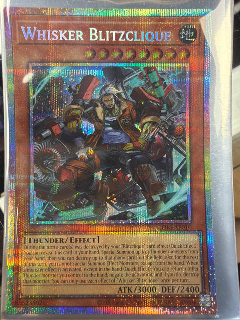 CORI-AE010 (PSER)Whisker Blitzclique