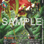 EX8-074 (SEC)
中世紀紅蓮騎士獸 (LM08)