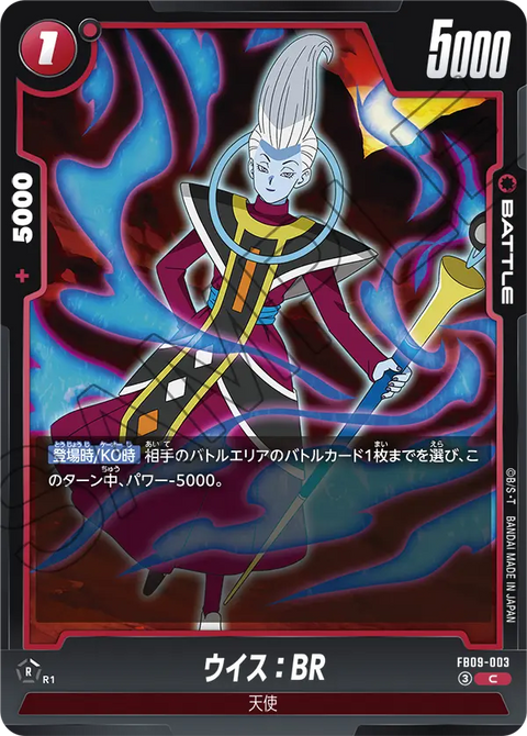 FB09-003
C
ウイス：BR