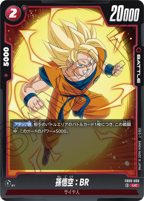FB09-009
UC
孫悟空：BR