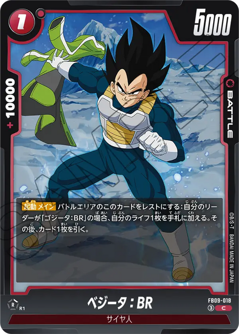 FB09-018
C
ベジータ：BR