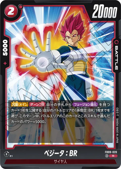FB09-020
R
ベジータ：BR