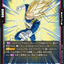 FB09-021
R
ベジータ：DA