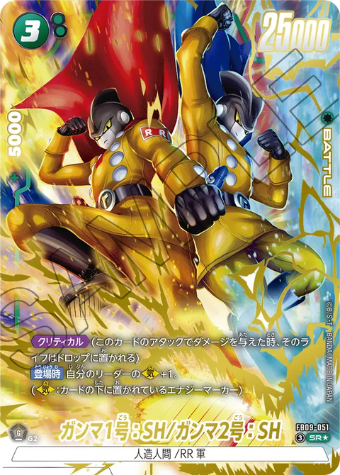 FB09-051
SR*
ガンマ1号：SH/ガンマ2号：SH