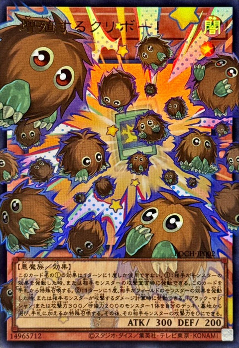 LOCH-JP002  (ORR) 增殖的栗子球!