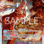 OP16-065 | SR | CHARACTER
サカズキ