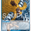 OP17-047 | C | CHARACTER
シキ