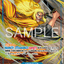 OP17-048 | SR* | CHARACTER
シキ