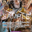 OP17-061 | R *| CHARACTER
大看板