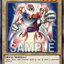 BPRO-AEC23 Gamma the Magnet Warrior