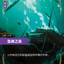 SFD 147/221 坠渊之流