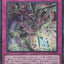 YAC1-JP025  (UR) 魂之引導