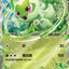 SVI 002/066 新葉喵ex
