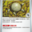M5 071/081        陳舊的頭蓋化石