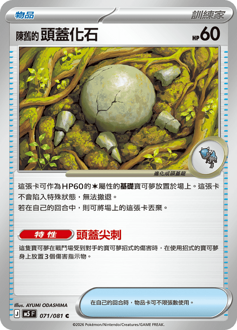 M5 071/081        陳舊的頭蓋化石