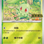 155/M-P 菊草葉