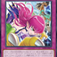 IMPH-JP074  亞馬遜救出劇