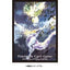 Pokemon Card Game TCG Premium Gloss Deck Sleeves Terristial Mewtwo*64