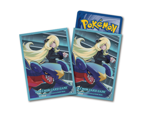 寶可夢造型卡套 9433301