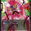 #卡牌遊戲, #卡牌, #遊戲王, #遊戲王卡, #遊戲王卡牌, #日文卡, #日版卡, #日版遊戲王卡, #YuGiOh日文, #Pokemon卡, #神奇寶貝卡, #寶可夢卡, #寶可夢卡牌, #海賊王卡牌, #數碼暴龍卡牌, #高達卡牌, #柯南卡牌, #龍珠卡牌, #碧藍航線卡牌, #符文戰爭卡牌, #魔法風雲會, #MTG卡, #桌遊, #動漫周邊, #動漫商品, #模型, #ActionFigure, #手辦, #公仔, #收藏品, #珍藏卡, #限量卡, #閃卡, #亮面卡, #金屬卡, #抽卡盒, #卡套, #卡冊, #卡盒, #保護套, #桌遊配件, #比賽卡牌, #集換式對戰卡牌, #比賽活動, #玩家社群, #玩家俱樂部, #遊戲店, #香港遊戲店, #HK遊戲, #香港卡牌, #香港桌遊, #卡牌教學, #遊戲教學, #策略遊戲, #遊戲配件, #收藏卡牌, #卡牌批發, #卡牌零售, #動漫卡, #動漫卡牌, #TCG產品, #日本卡牌, #美版卡牌, #卡牌活動, #實體店, #網上商店, #網店, #玩家聚會, #卡牌交流, #交換卡牌, #卡牌市場, #線上比賽, #實體比賽,
