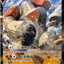 #卡牌遊戲, #卡牌, #遊戲王, #遊戲王卡, #遊戲王卡牌, #日文卡, #日版卡, #日版遊戲王卡, #YuGiOh日文, #Pokemon卡, #神奇寶貝卡, #寶可夢卡, #寶可夢卡牌, #海賊王卡牌, #數碼暴龍卡牌, #高達卡牌, #柯南卡牌, #龍珠卡牌, #碧藍航線卡牌, #符文戰爭卡牌, #魔法風雲會, #MTG卡, #桌遊, #動漫周邊, #動漫商品, #模型, #ActionFigure, #手辦, #公仔, #收藏品, #珍藏卡, #限量卡, #閃卡, #亮面卡, #金屬卡, #抽卡盒, #卡套, #卡冊, #卡盒, #保護套, #桌遊配件, #比賽卡牌, #集換式對戰卡牌, #比賽活動, #玩家社群, #玩家俱樂部, #遊戲店, #香港遊戲店, #HK遊戲, #香港卡牌, #香港桌遊, #卡牌教學, #遊戲教學, #策略遊戲, #遊戲配件, #收藏卡牌, #卡牌批發, #卡牌零售, #動漫卡, #動漫卡牌, #TCG產品, #日本卡牌, #美版卡牌, #卡牌活動, #實體店, #網上商店, #網店, #玩家聚會, #卡牌交流, #交換卡牌, #卡牌市場, #線上比賽, #實體比賽,