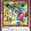 YAC1-JP040 (SER) 三色齒輪